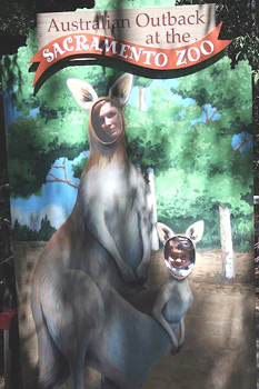 Sacramento Zoo, Australian exhibit